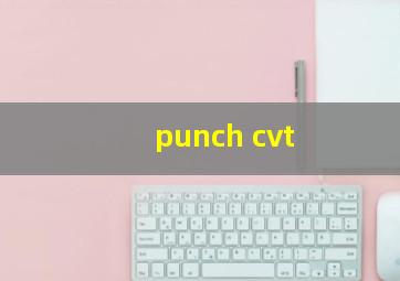 punch cvt